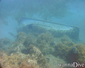 scuba diving photo