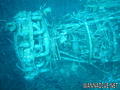 scuba diving photo