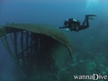scuba diving photo