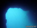 scuba diving photo
