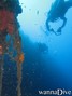 scuba diving photo