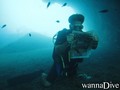 scuba diving photo