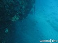 scuba diving photo