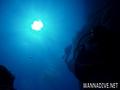 scuba diving photo