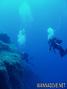 scuba diving photo