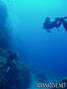 scuba diving photo