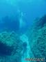 scuba diving photo