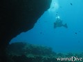 scuba diving photo