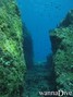 scuba diving photo