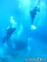 scuba diving photo