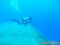 scuba diving photo