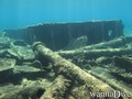 scuba diving photo