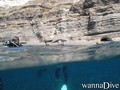 scuba diving photo
