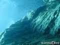 scuba diving photo