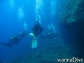 scuba diving photo