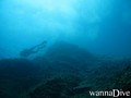 scuba diving photo