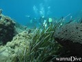 scuba diving photo