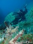 scuba diving photo