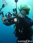 scuba diving photo