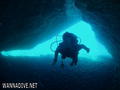 scuba diving photo