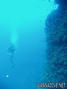 scuba diving photo