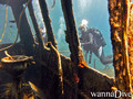 scuba diving photo