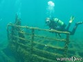 scuba diving photo