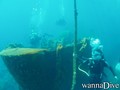 scuba diving photo