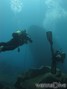 scuba diving photo