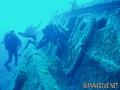 scuba diving photo