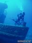 scuba diving photo