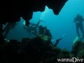 scuba diving photo