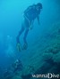 scuba diving photo