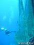 scuba diving photo