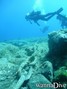 scuba diving photo