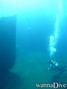 scuba diving photo