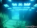 scuba diving photo