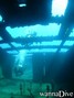 scuba diving photo