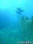 scuba diving photo