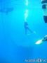 scuba diving photo
