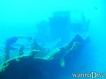scuba diving photo