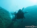 scuba diving photo