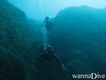 scuba diving photo