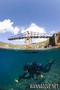 scuba diving photo