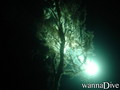 scuba diving photo
