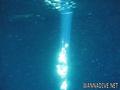 scuba diving photo
