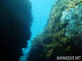 scuba diving photo