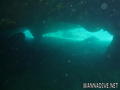 scuba diving photo