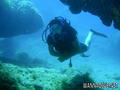 scuba diving photo