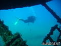 scuba diving photo